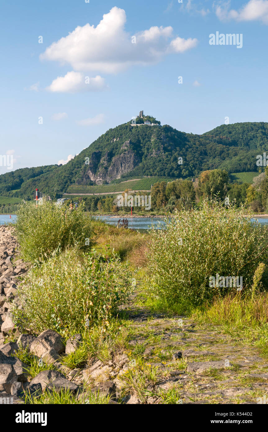 Drachenfels et le Rhin de grafenwerth, Bad Honnef, NRW, Allemagne. Banque D'Images