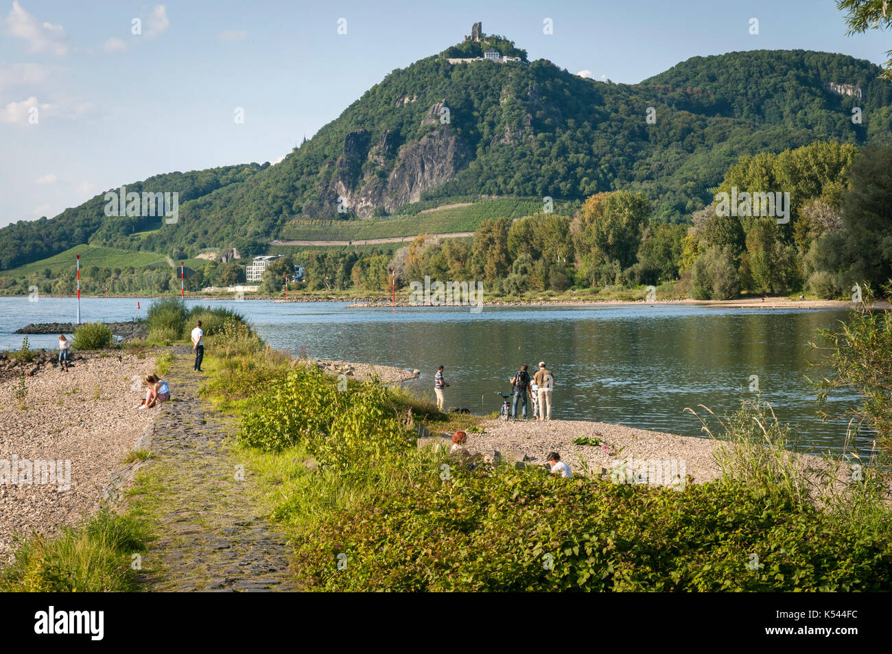 Drachenfels et le Rhin de grafenwerth, Bad Honnef, NRW, Allemagne. Banque D'Images