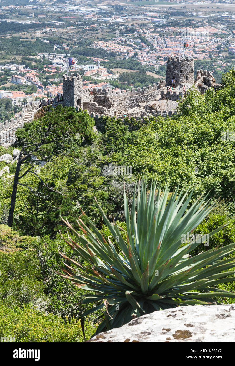 Le Castelo dos Mouros ancienne avec ses tours en pierre entourée de bois de la municipalité de Sintra Portugal Europe district de Lisbonne Banque D'Images