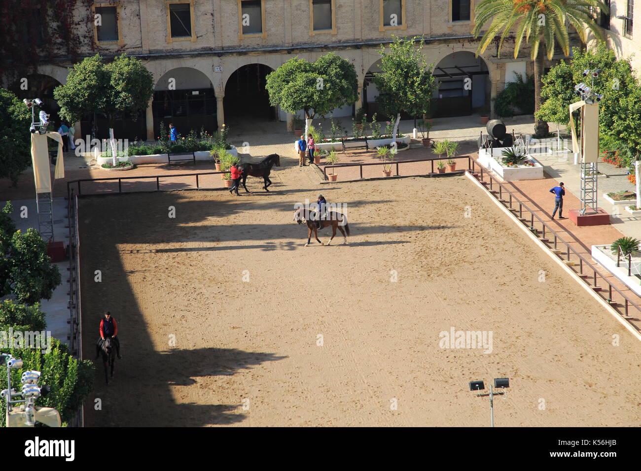 Angle de vue de la cour a soulevé equestrian center, Caballerizas Reales de Cordoba, Écuries Royales, Cordoue, Espagne Banque D'Images