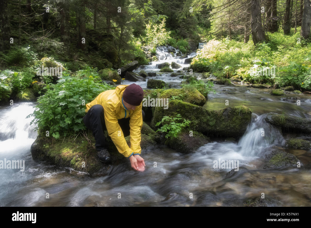 Homme boire l'eau de ruisseau de montagne clair dans la luxuriante forêt scène sauvage. Banque D'Images