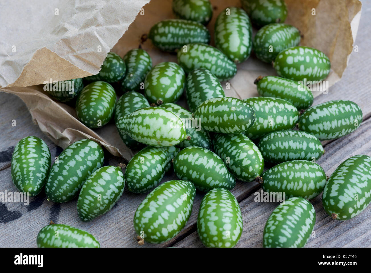 Cucamelon fruits, également connu sous le nom de cornichons aigre mexicain Mexicain, concombres Melothria scabra, ou Banque D'Images