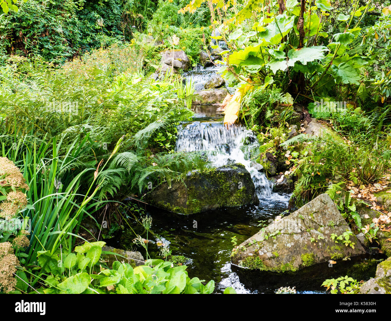 Hillside chinois, Royal Botanic Garden Edinburgh, Edinburgh, Scotland, UK, FR. Banque D'Images