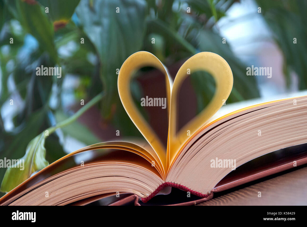 Amour et livres. Forme de coeur faite à partir de pages de livre Banque D'Images