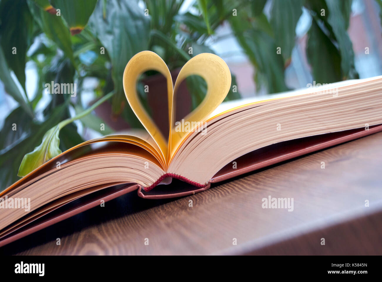 Amour et livres. Forme de coeur faite à partir de pages de livre Banque D'Images