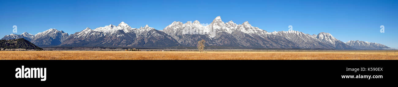 Mega haute qualité photo panoramique du grand teton mountain range en automne, Wyoming, USA. Banque D'Images