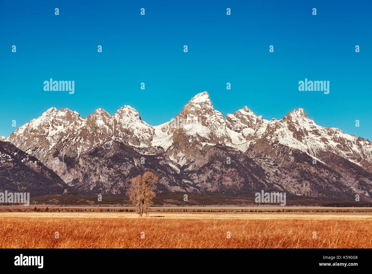 Le grand teton mountain range en automne, harmonisation des couleurs appliquées, Wyoming, USA Banque D'Images