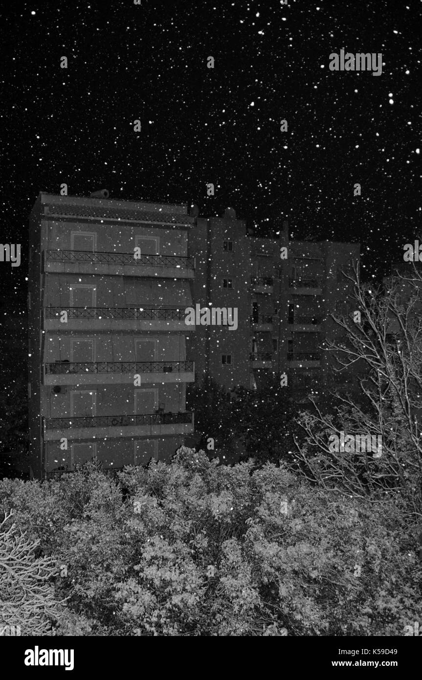 La neige qui tombe sur les arbres et bâtiments de la ville de nuit froide d'hiver. noir et blanc. Banque D'Images