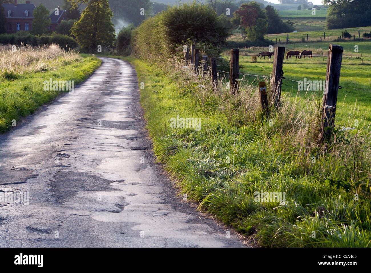 Route de campagne dans le Nord de la France Banque D'Images