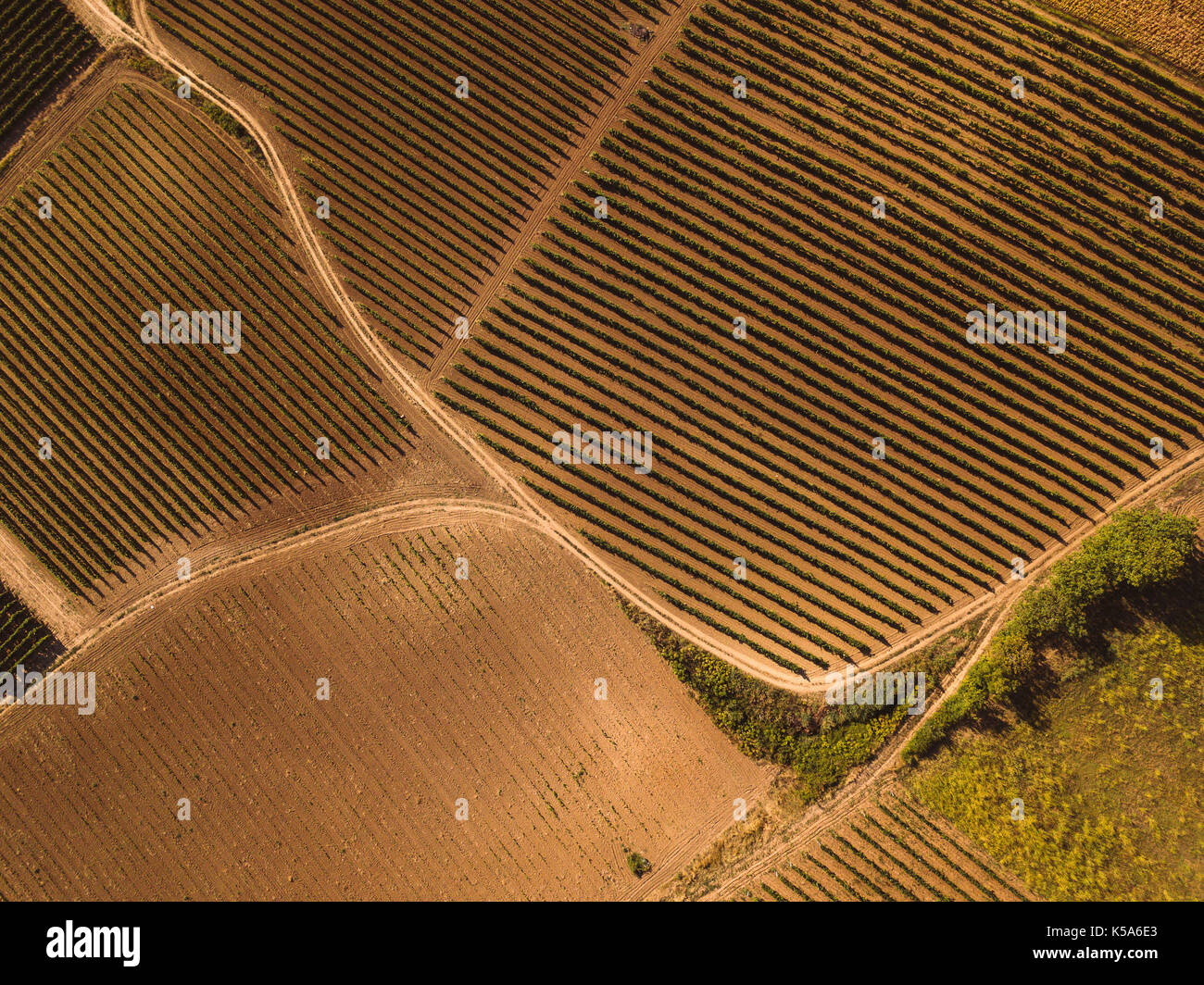 Vue aérienne de la campagne comme abstract natural background du point de vue de drones Banque D'Images