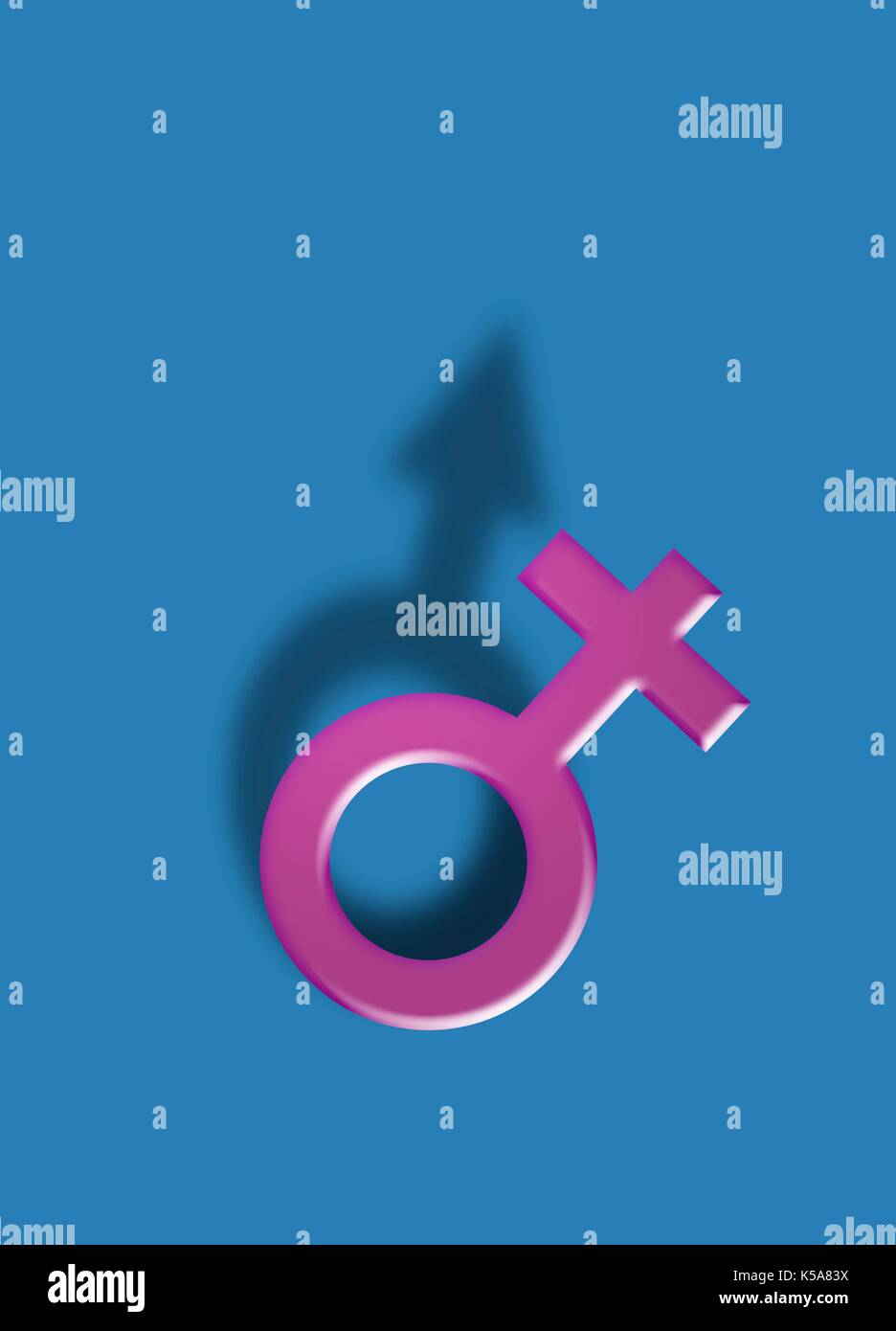 Symbole féminin avec symbole mâle, illustration de l'ombre. Banque D'Images