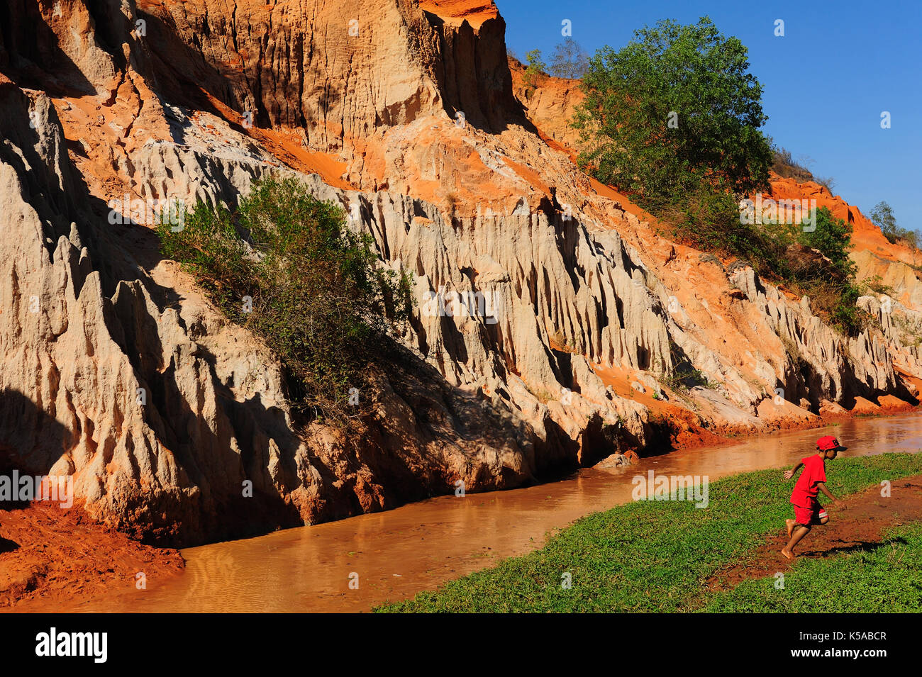 Mui Ne, Vietnam - Feb 20,2015:Fairy Stream paysage avec palmier et de la rivière Rouge entre roches et jambon jungle Tien canyon. Banque D'Images