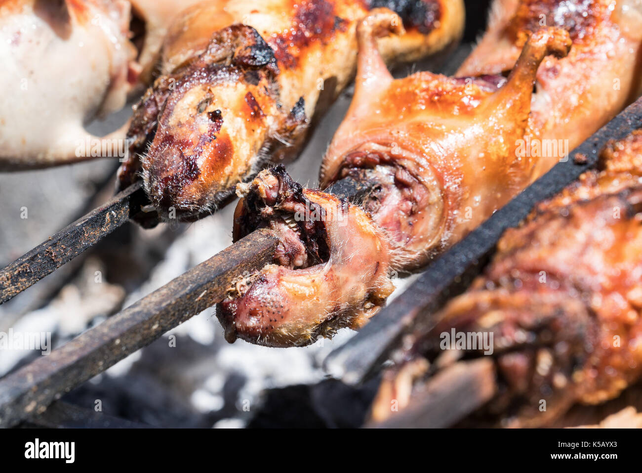 Cobaye à griller dans Huaraz, Pérou Banque D'Images