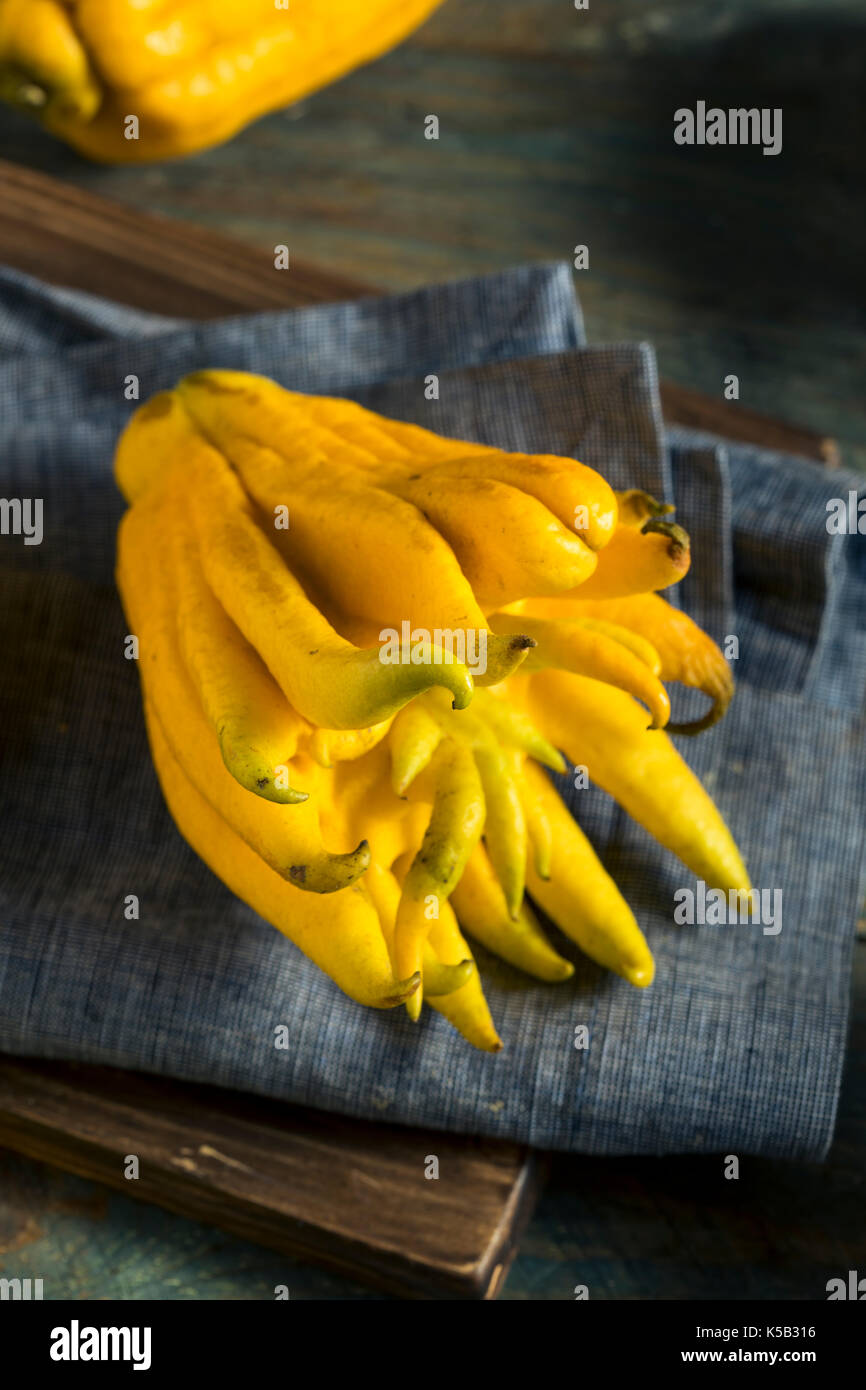 Bouddhas organique jaune part d'agrumes avec les doigts Banque D'Images