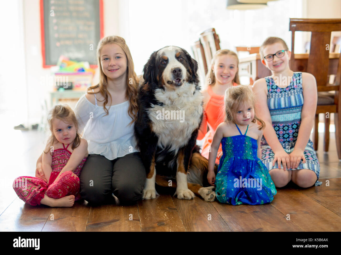 Les filles sur le plancher avec les bernois Banque D'Images