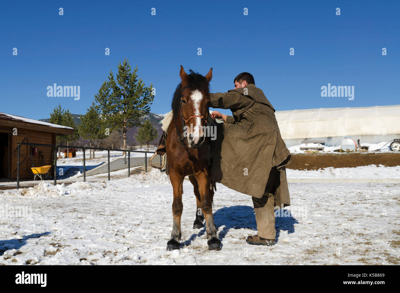 Jeune homme de grimper sur un cheval en face de grange Banque D'Images