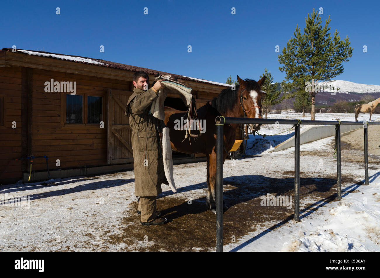 Jeune homme en selle de cheval Banque D'Images