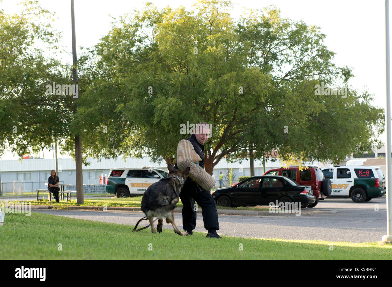 Démonstration de la police k-9 à escambia county sheriff à Pensacola, Floride Banque D'Images