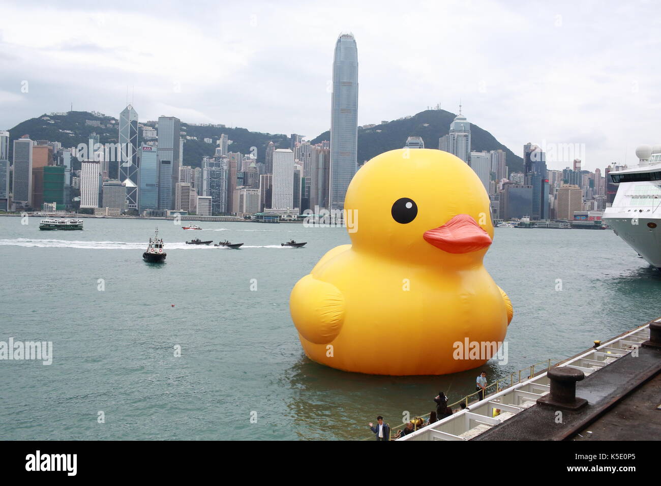 Canard aux Skyline dans le port de Victoria, hong kong Banque D'Images