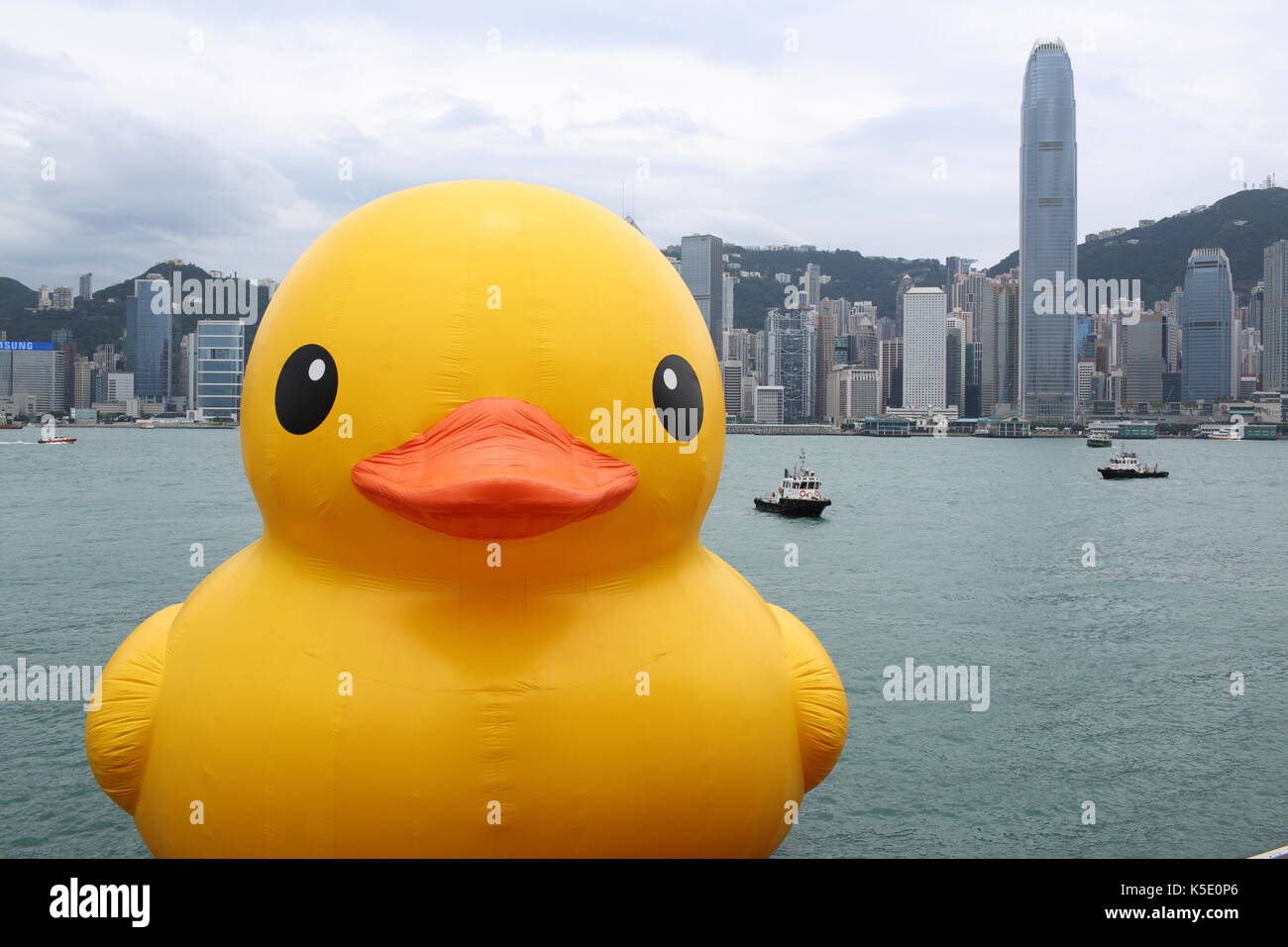 Canard aux Skyline dans le port de Victoria, hong kong Banque D'Images