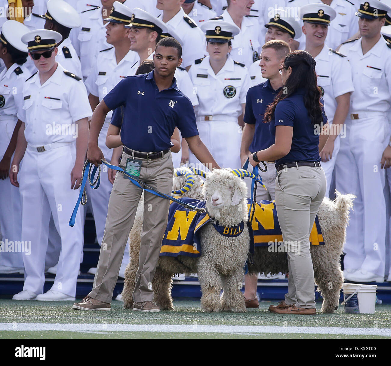 Annapolis, MD, USA. Sep 9, 2017. La mascotte de l'académie navale des États-Unis, le projet de loi, la chèvre, montres le terrain au cours de NCAA football match entre les aspirants de l'académie navale des États-Unis et l'Université Tulane Green Wave à Navy Marine Corp Memorial Stadium à Annapolis, MD. Justin Cooper/CSM/Alamy Live News Banque D'Images