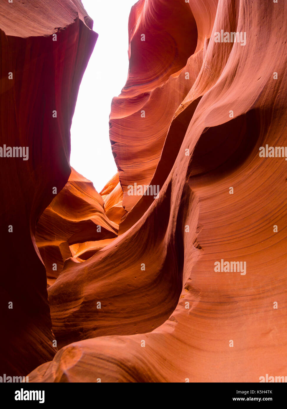 Des formations de roche érodée dans le Lower Antelope Canyon près de Page, Arizona (USA). L'emplacement de grès canyon est une attraction touristique majeure. Banque D'Images