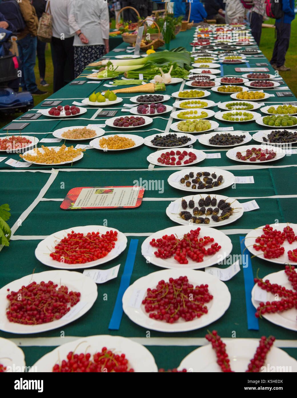 Variété de fruits et légumes exposés sur les plaques d'être jugés dans une redcurrents yellowcurrents la concurrence,,, figues, fruits rouges, mûres, gooseberr Banque D'Images