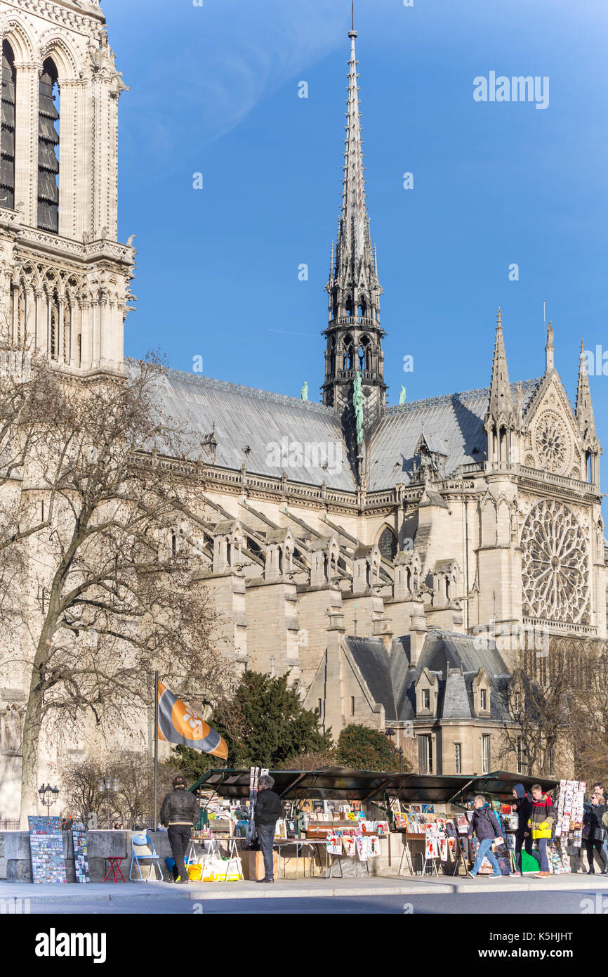 Les piétons en face de seconde main (libraires bouquinistes) avec derrière la cathédrale Notre Dame, Paris, France Banque D'Images