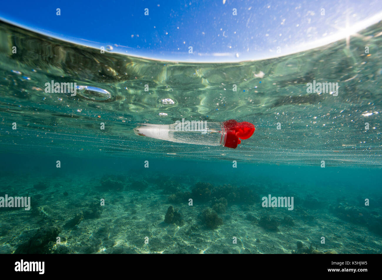 Bouteille de plastique flottant dans les récifs coralliens de l'océan Banque D'Images
