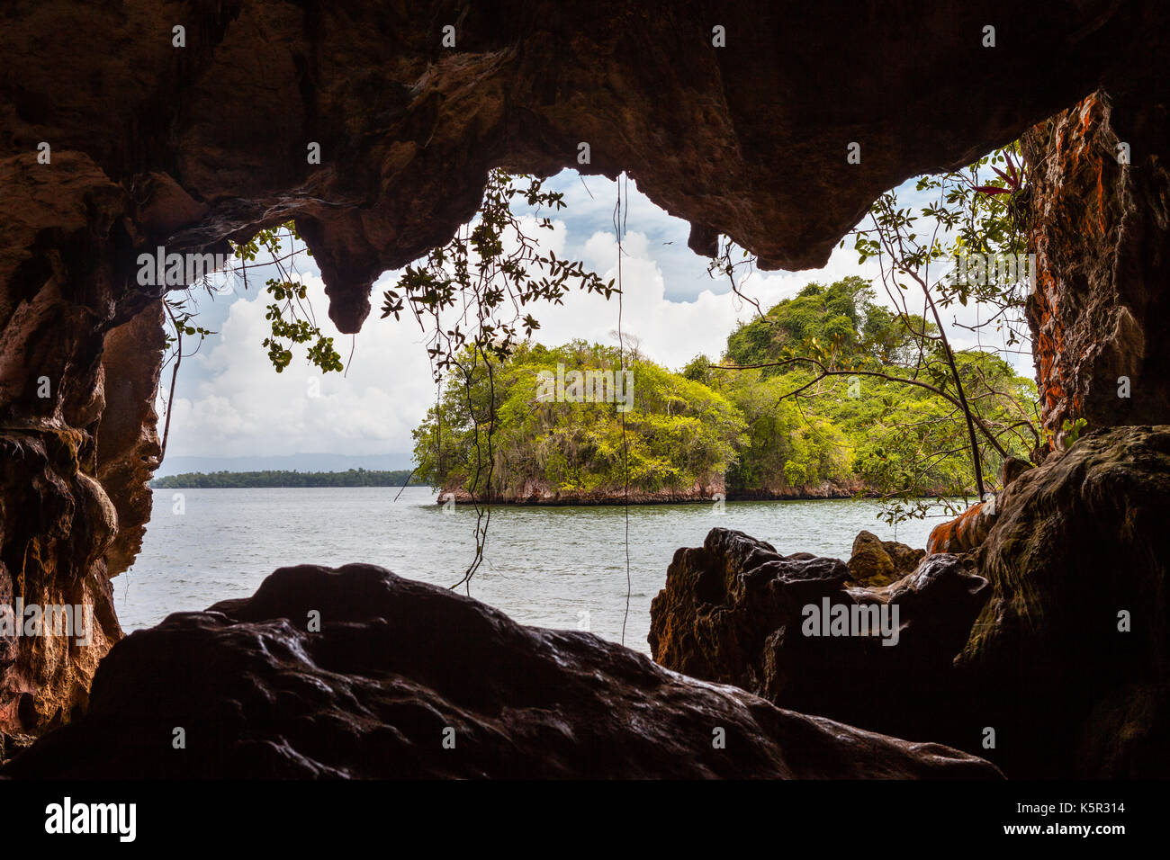 Grotte dans le Parque Nacional de los Haitises, República Dominicana Banque D'Images