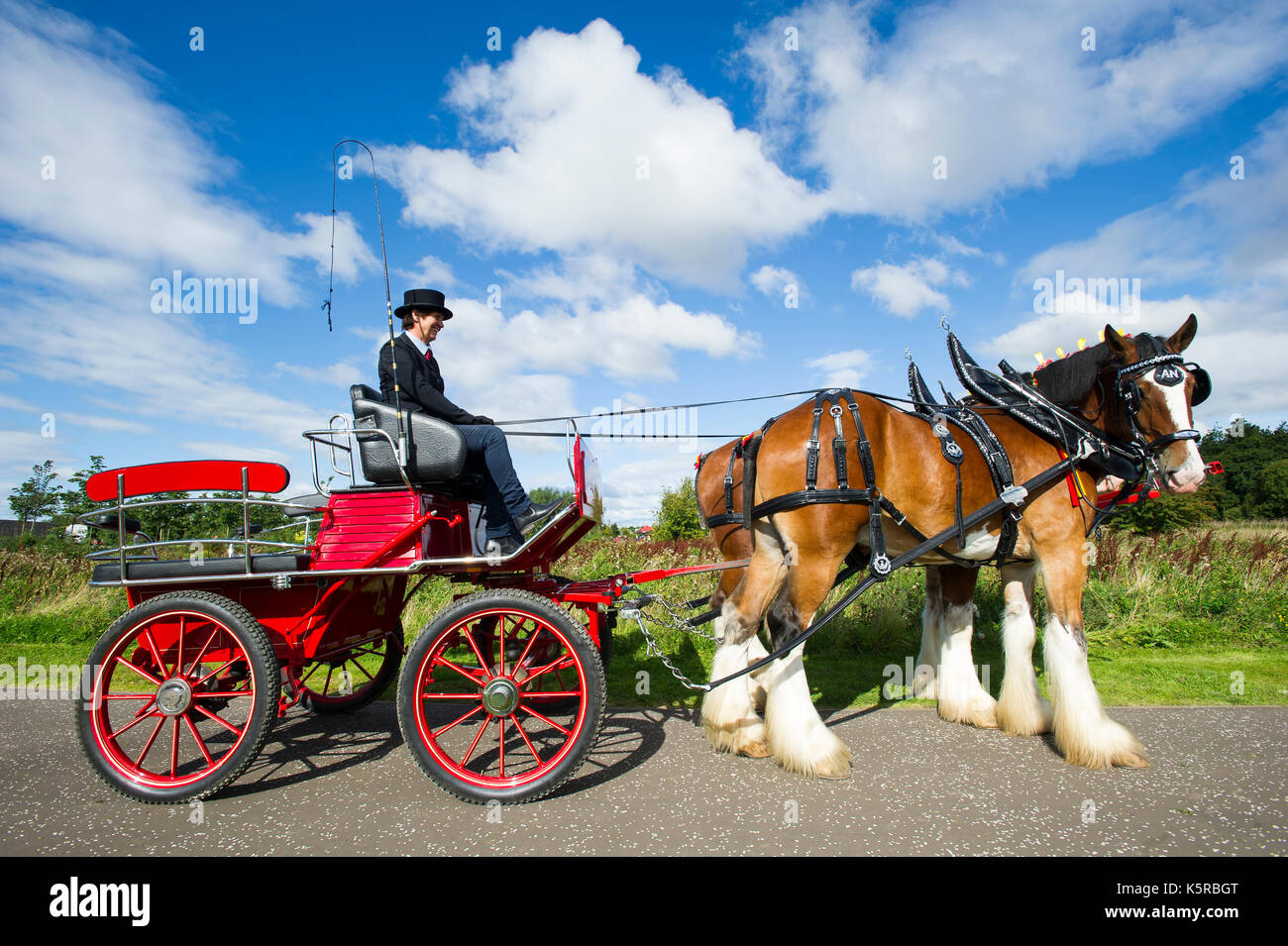 Une paire de chevaux Clydesdale avec quatre chariot à roues sur l'affichage à l'événement dans le parc de la puissance de l'hélice de Falkirk. Banque D'Images