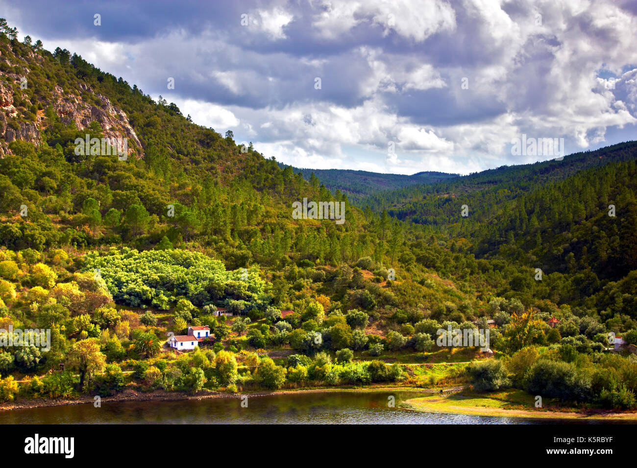 Une vue sur le fleuve Tage, Portugal, des collines boisées environnantes Banque D'Images