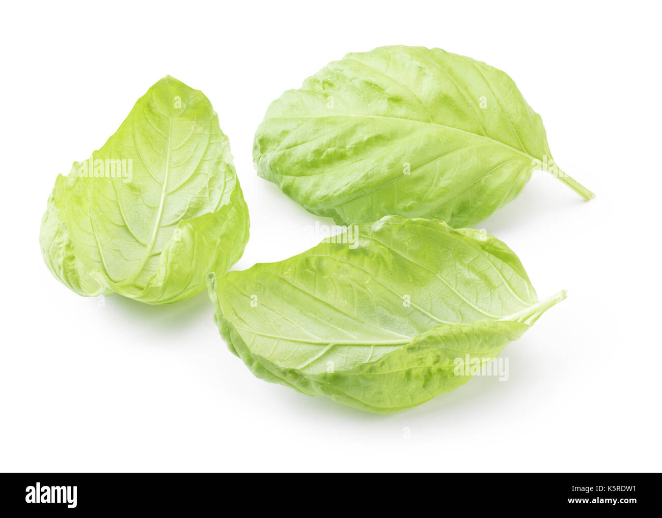 Close up of a perfect sweet basil isolated on white background dans toute la profondeur de champ avec chemin de détourage. Banque D'Images