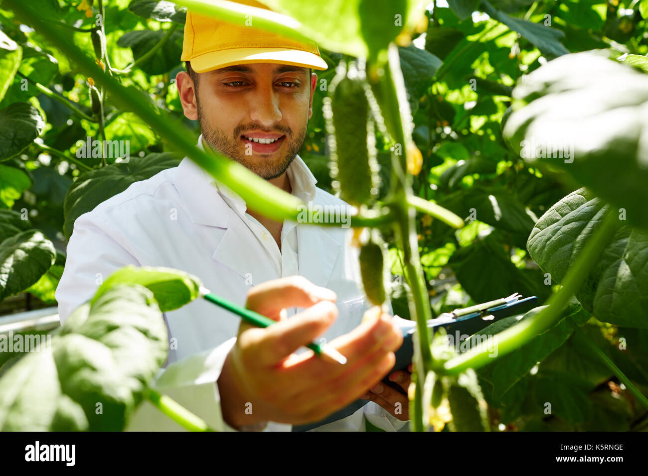 Fier agriculteur à émissions de Banque D'Images