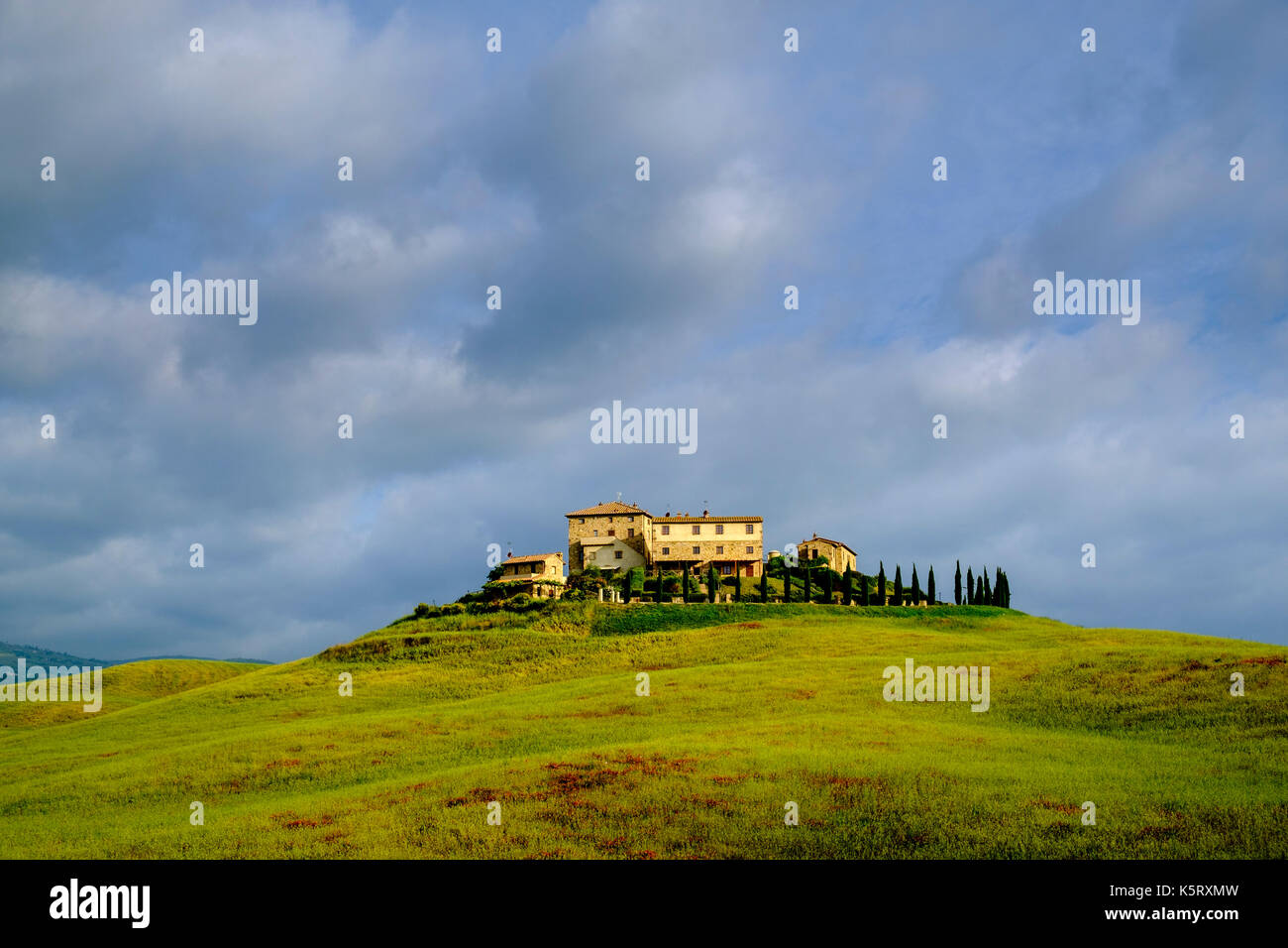 Avec le paysage typique tuscanian gîte rural podere le volpaie sur une colline dans le Val di Cecina Banque D'Images