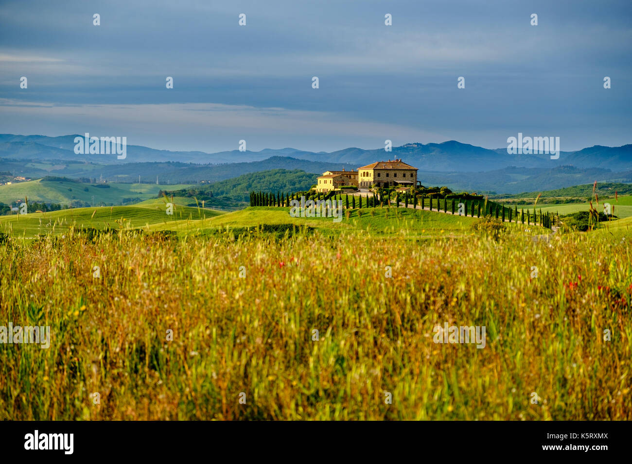 Avec le paysage typique tuscanian gîte rural podere le volpaie sur une colline dans le Val di Cecina Banque D'Images