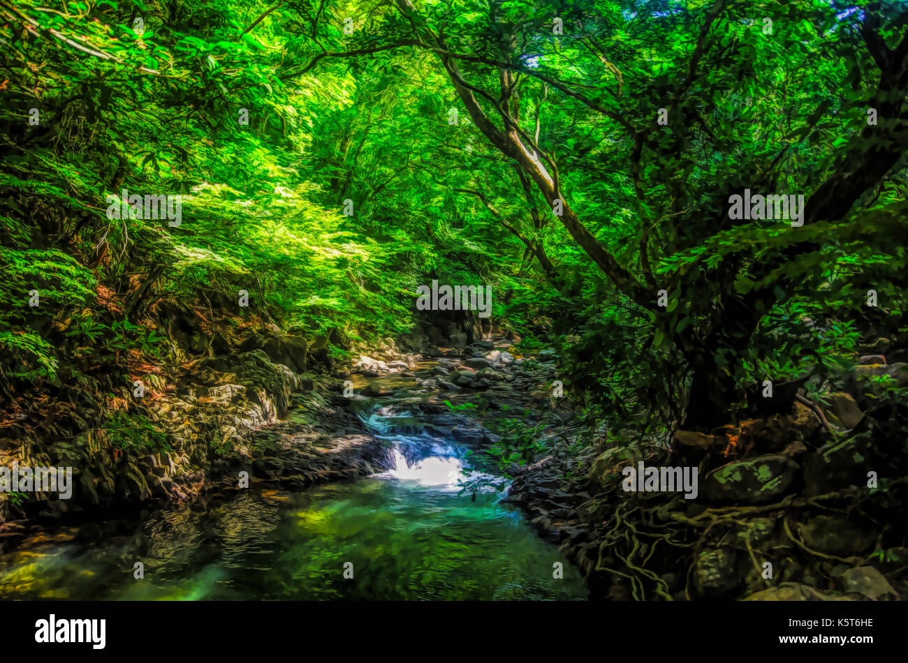 Rain forest landscape scene avec petite cascade illustration Banque D'Images