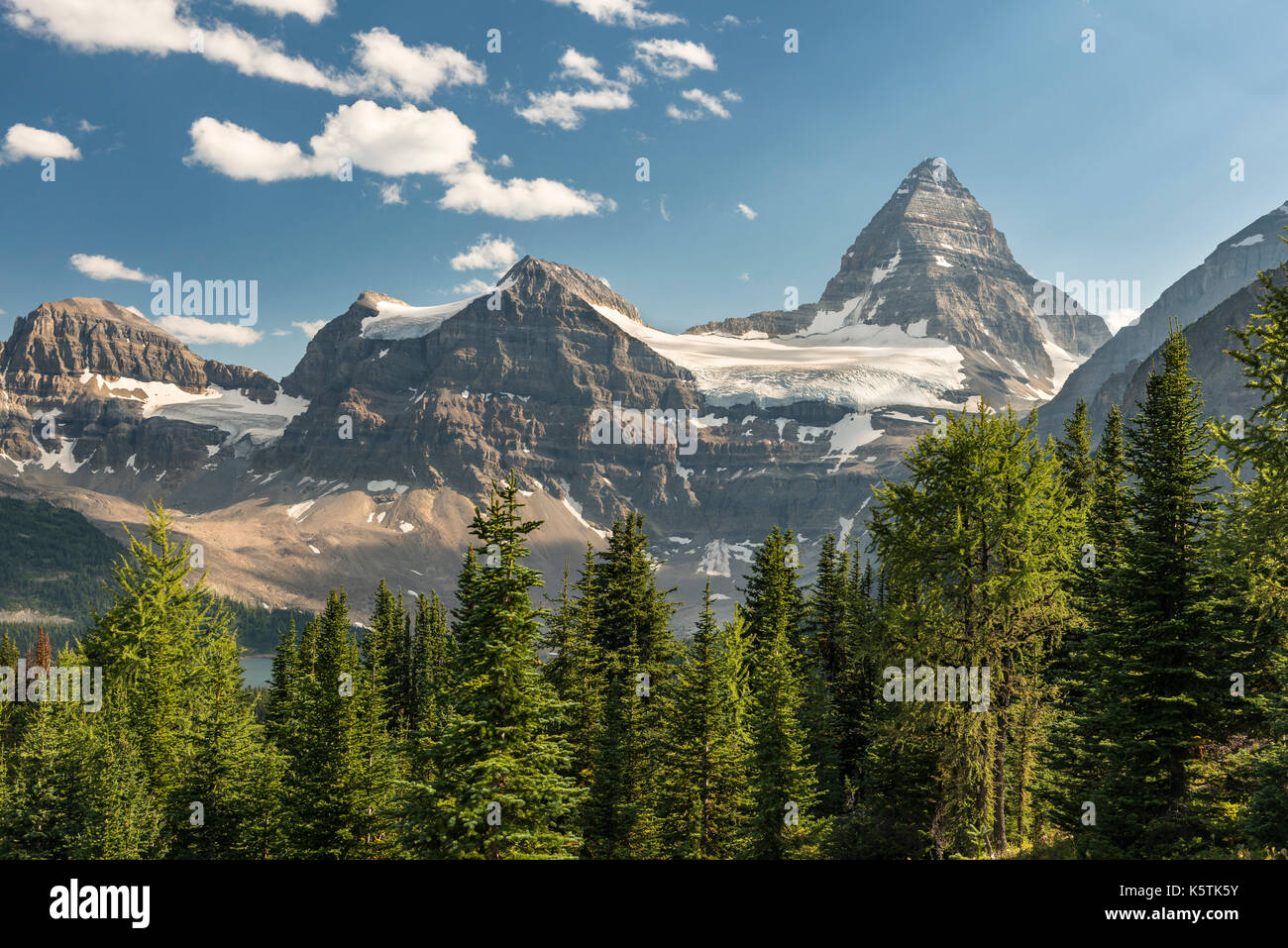 Le mont Assiniboine, le parc provincial du mont Assiniboine, montagnes Rocheuses du Canada, British Columbia, canada Banque D'Images