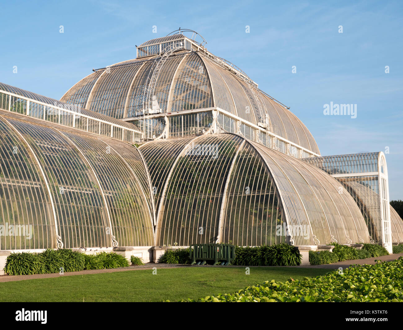 La Palm House, jardins botaniques de Kew, Richmond, London, England, UK Banque D'Images