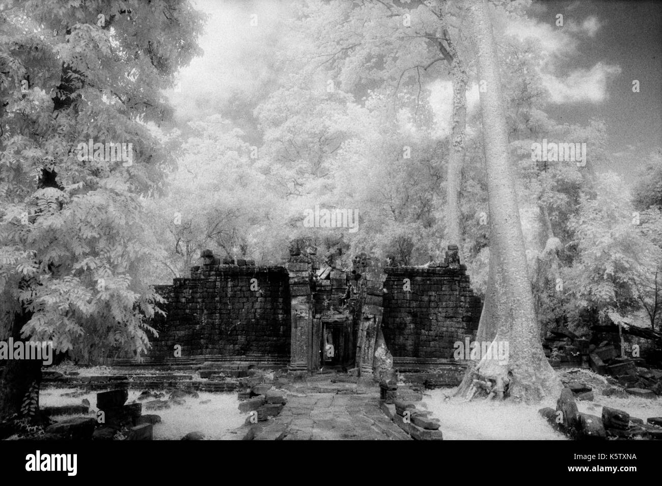 Cour arrière d'Angkor Thom, temple cambodge. Le 30 octobre 1996. Sur l'origine de l'image b/w film infrarouge. Banque D'Images