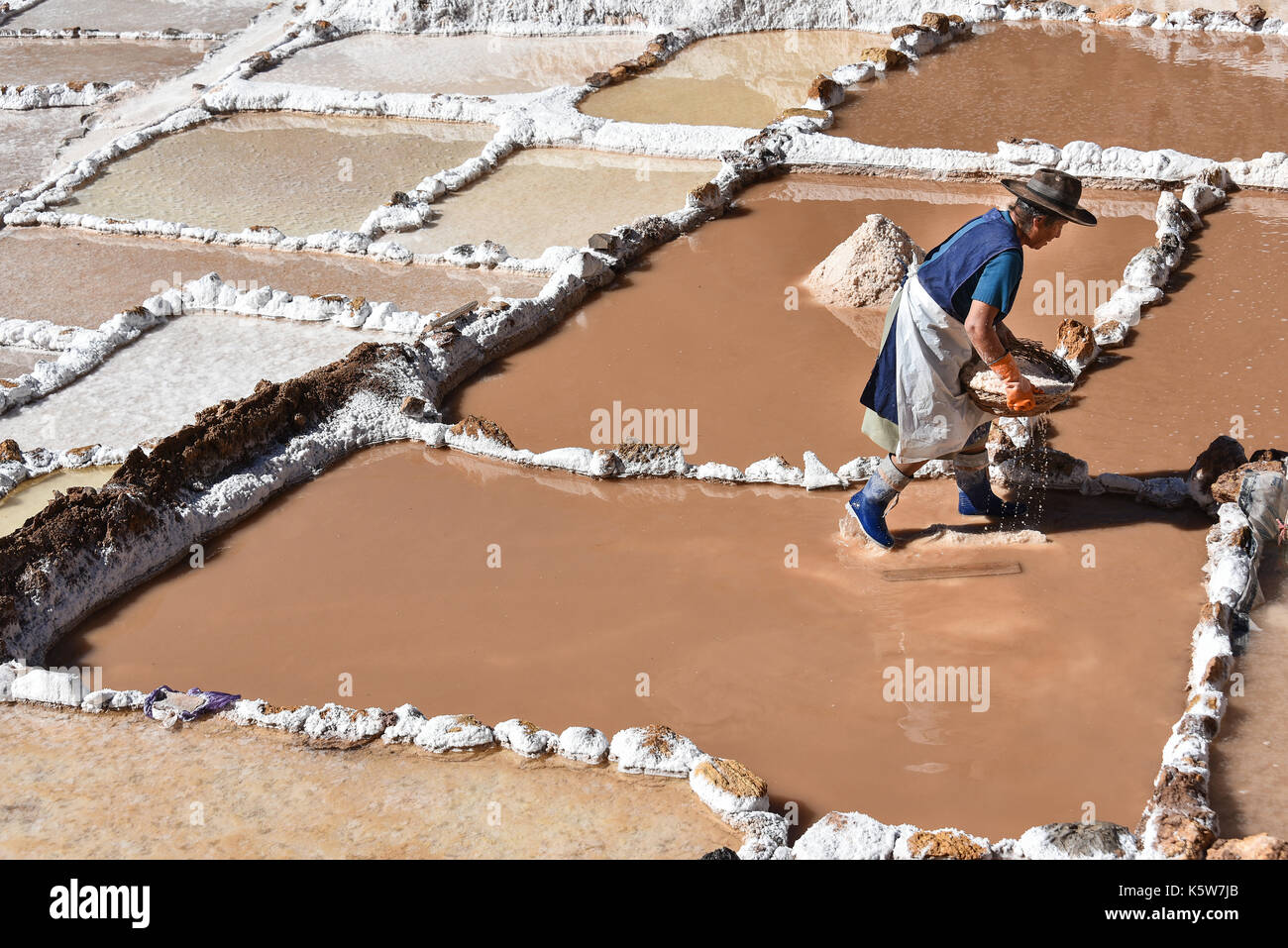Femme travaille en terrasses pour l'extraction de sel, Salinas de maras, Valle Sagrado, Urubamba, Pérou Banque D'Images
