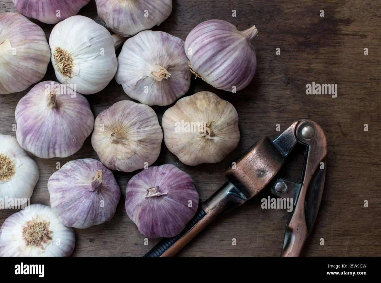 Beaucoup d'ail violet sur le dessus d'une table en bois, avec un fond métal cuivre hachoir à main d'ail Banque D'Images