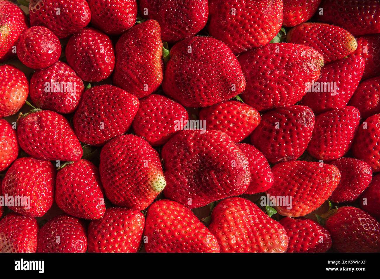 Fraise Marseille France Banque D'Images