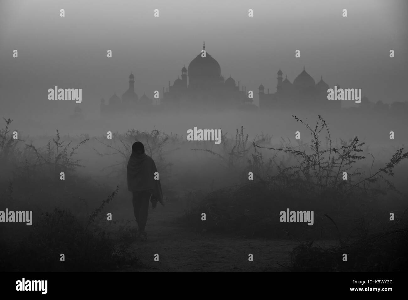 Taj Mahal en un matin d'hiver brumeux. Banque D'Images