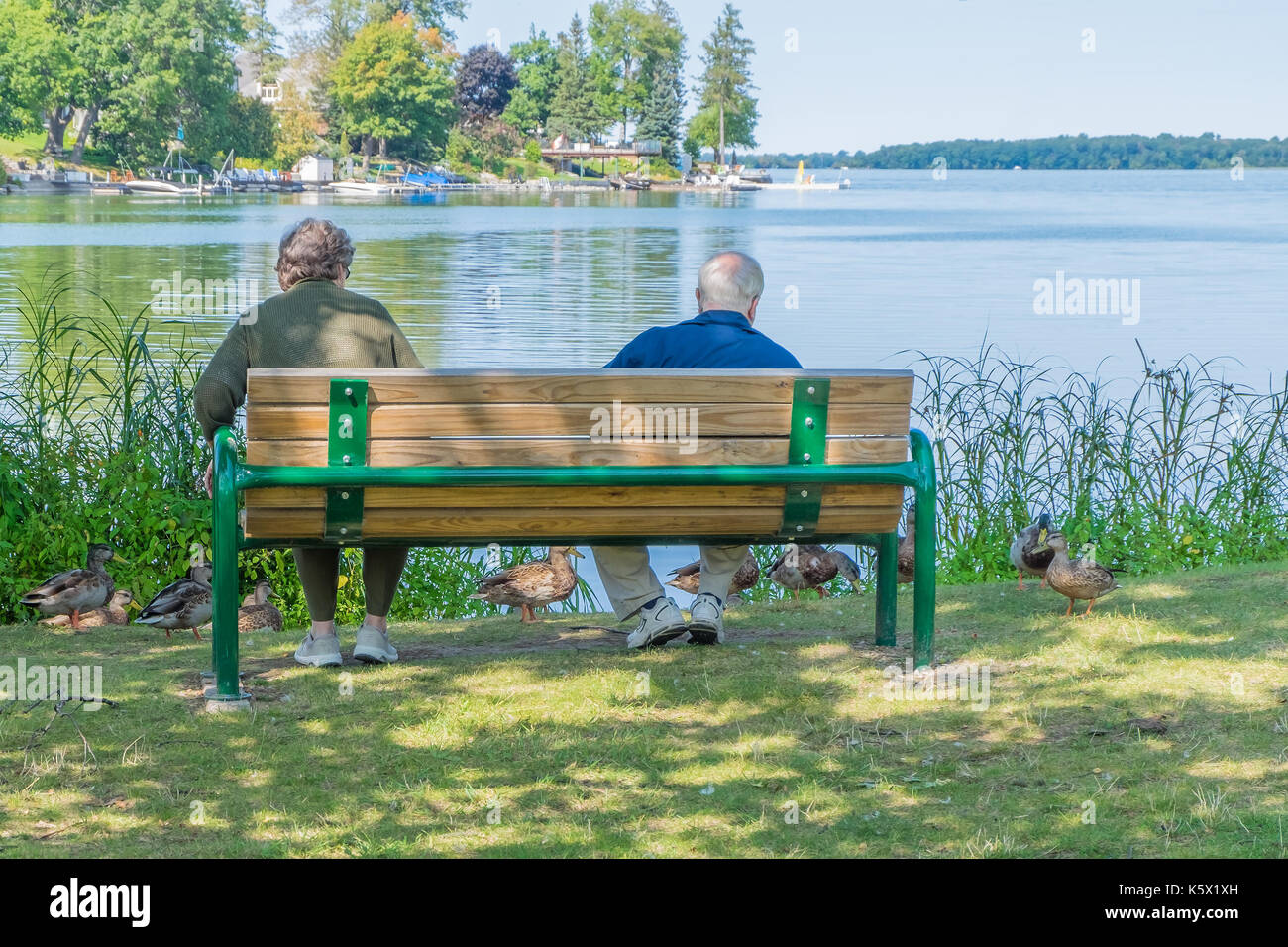 Vieux couple nourrir les canards à old Brewery Bay sur le lac Couchiching près d'Orillia (Ontario) Canada. Banque D'Images