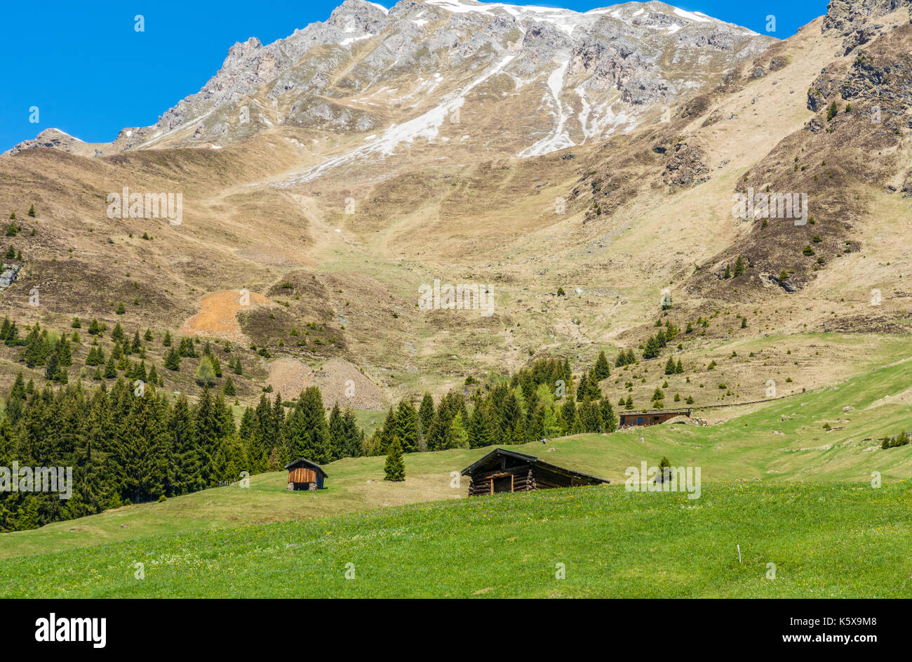 Paysage de montagne. Vallée Ridanna, Tyrol du Sud, Trentin-Haut-Adige, Italie du nord Banque D'Images