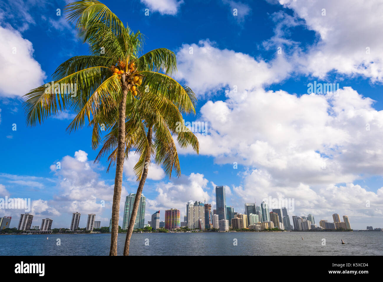 Miami, Floride, USA à Biscayne Bay. Banque D'Images