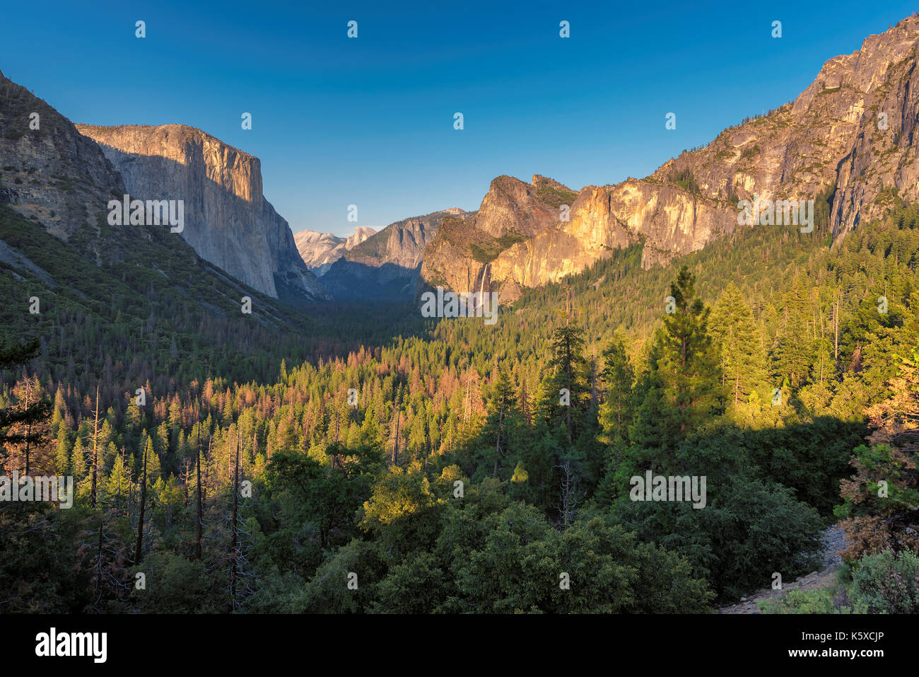 Coucher du soleil sur la vallée Yosemite, Yosemite National Park, Californie Banque D'Images