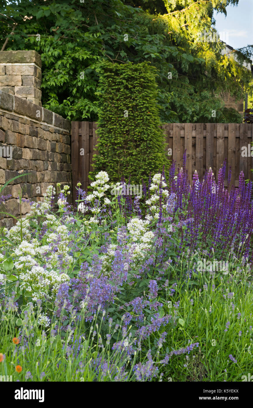 Belle, privé, traditionnelle, paysagée, country garden, West Yorkshire, Angleterre, Royaume-Uni - les plantes à fleurs d'été en close-up de frontière. Banque D'Images