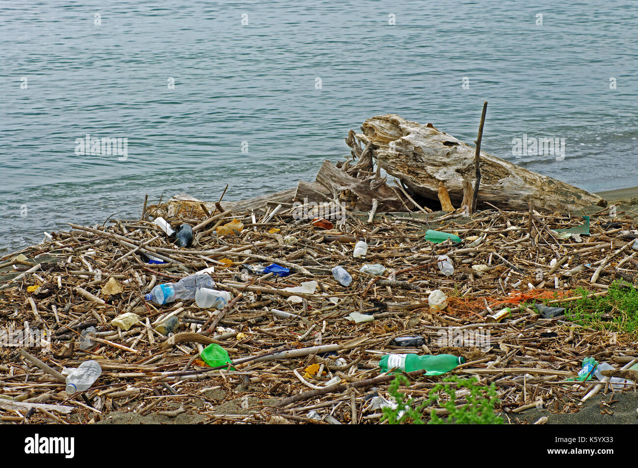 La pollution de l'environnement : les bouteilles en plastique qu'une rivière apporte dans la méditerranée (Italie, septembre 2016) Banque D'Images